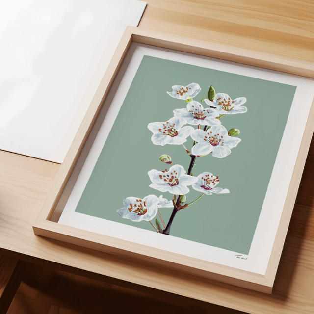 'Cherry Blossom' art print