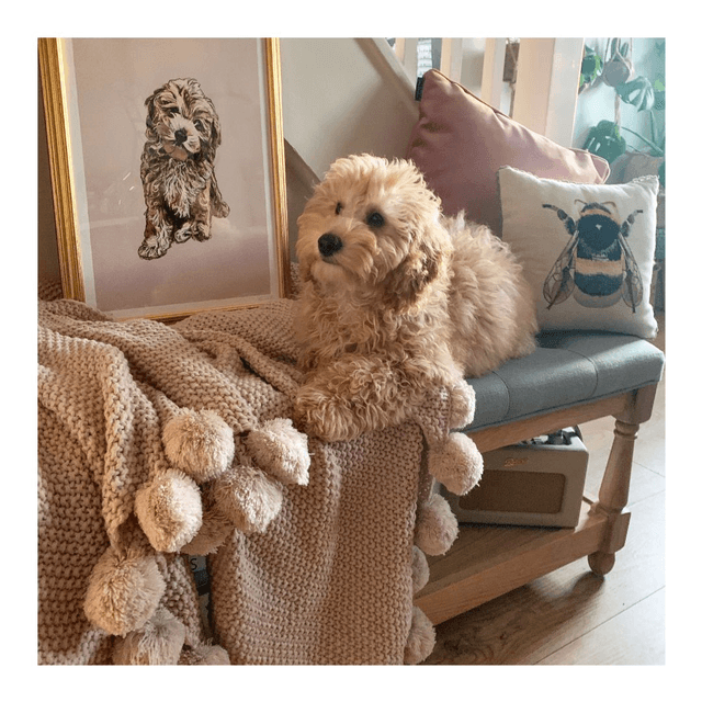 'Pet Portraits': A unique piece of art for your home or a meaningful gift 