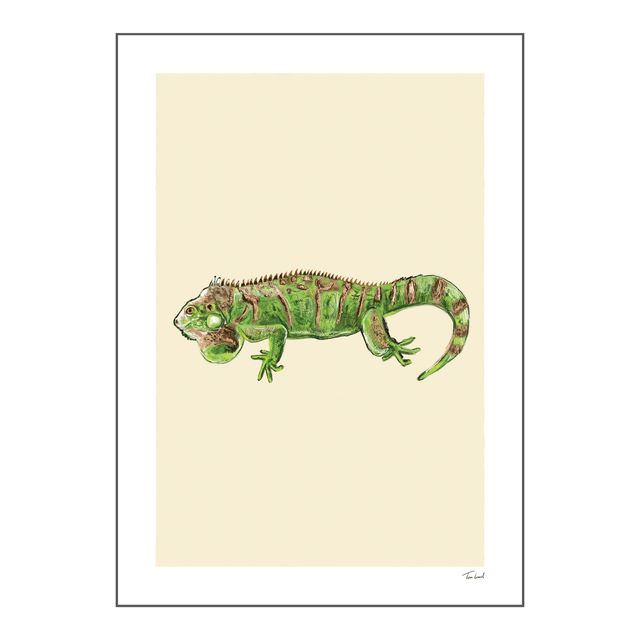 'Iguana' art print