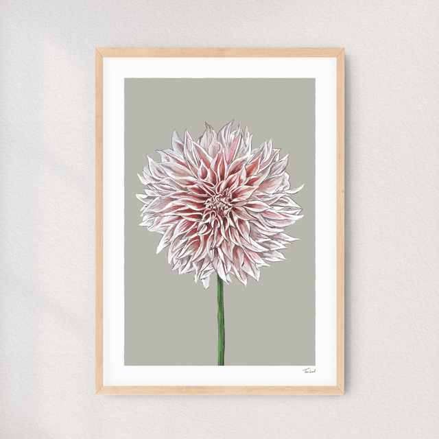 'Café au Lait' Dahlia art print