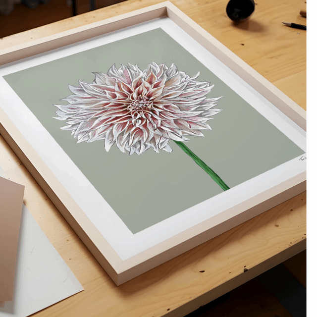 'Café au Lait' Dahlia art print