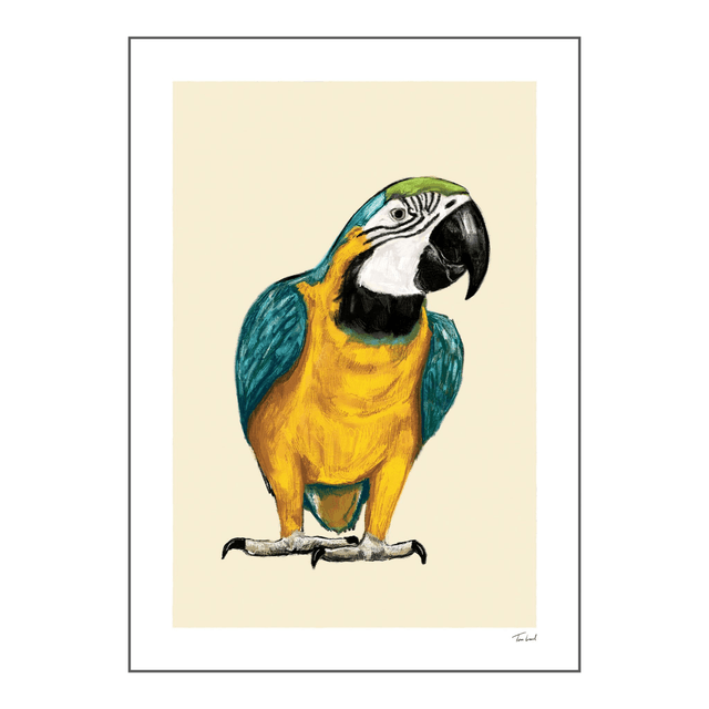 'Parrot' art print