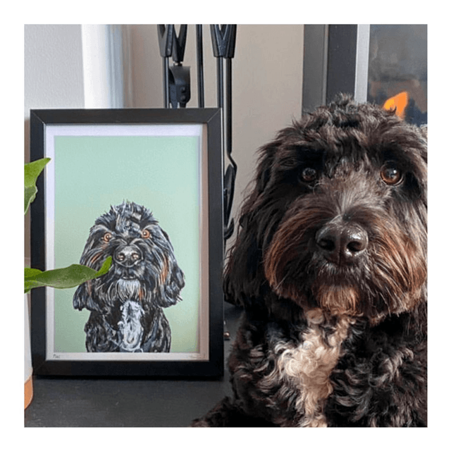 'Pet Portraits': A unique piece of art for your home or a meaningful gift 