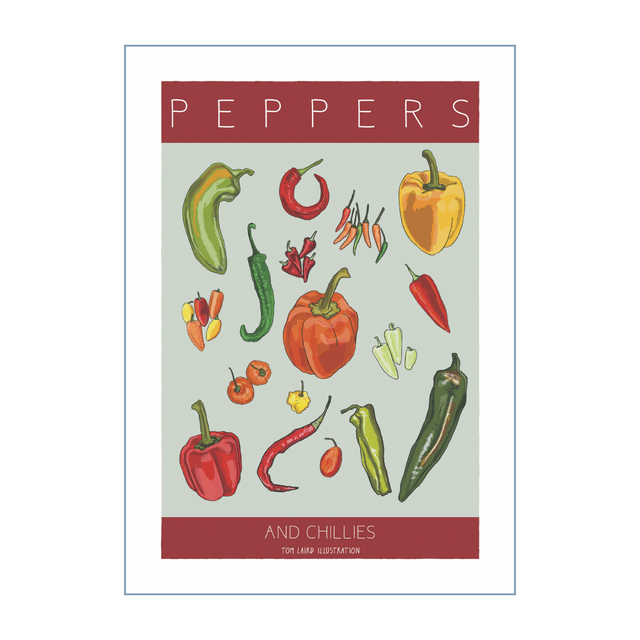 'Peppers and Chillies' art print