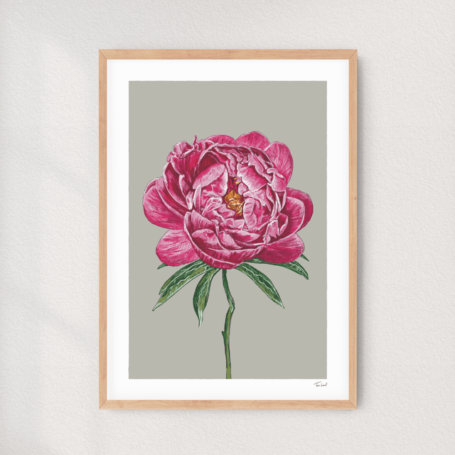 'Coral Charm' Peony art print