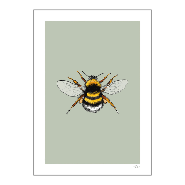 'Bumblebee' art print