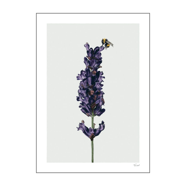 'Lavender and Bee' art print