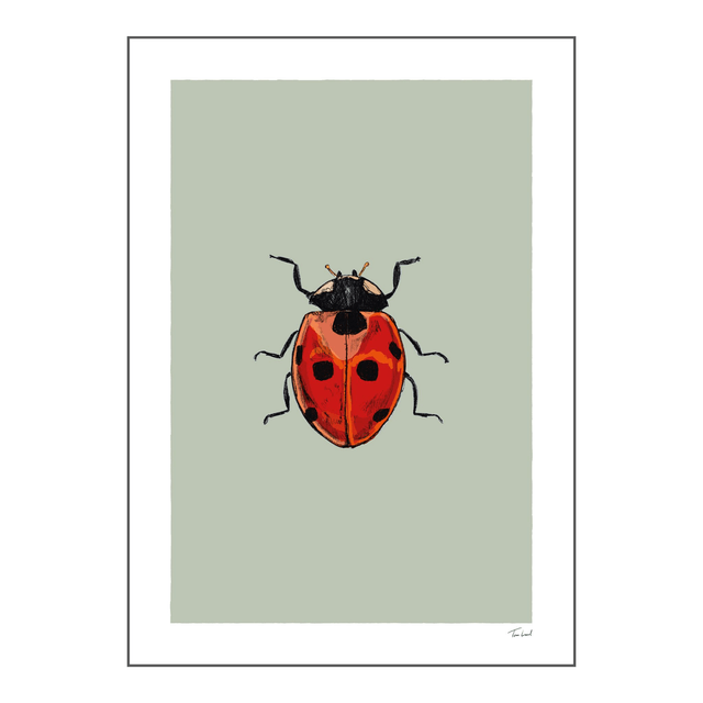 'Ladybird' art print