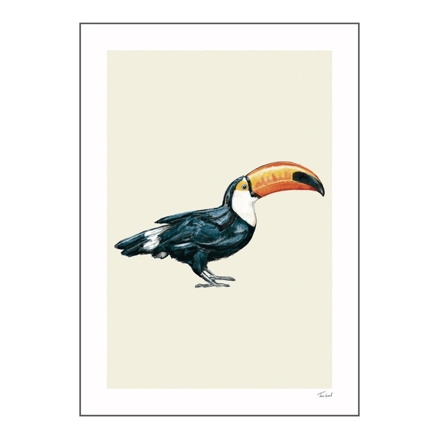 'Toucan' art print