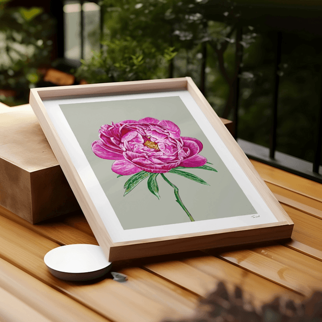 'Coral Charm' Peony art print