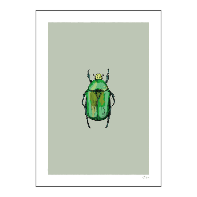 'Rose Chafer Beetle' art print