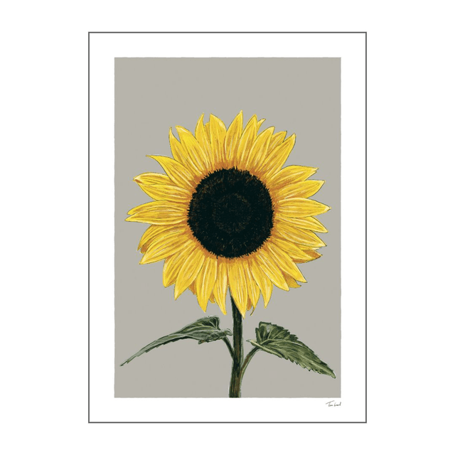 'Sunflower' art print