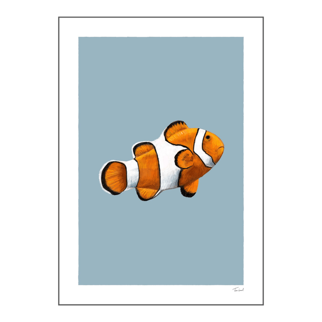 'Clown Fish' art print
