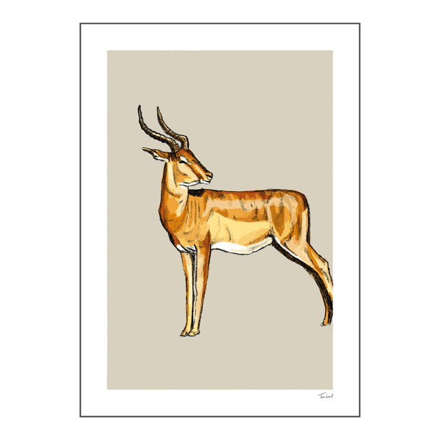 'Springbok' art print