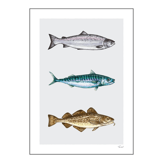 'Fish of the Atlantic' art print