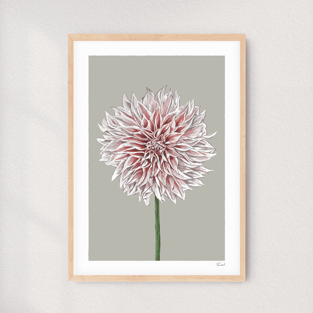 &#039;Café au Lait&#039; Dahlia art print