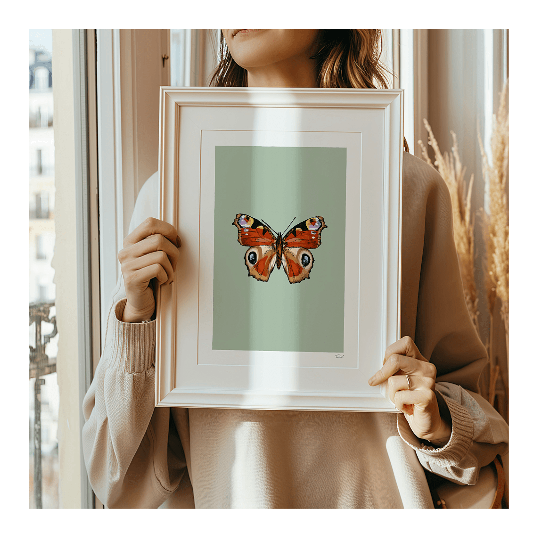 'Peacock Butterfly' art print