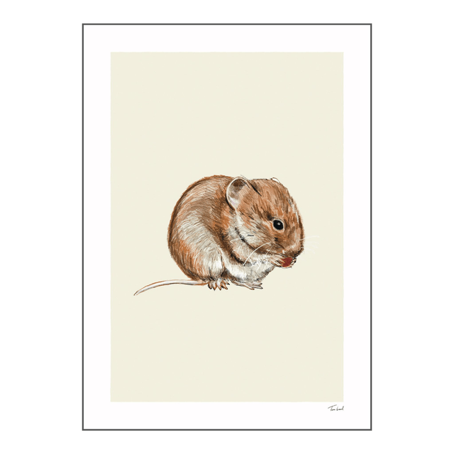 'Vole' art print