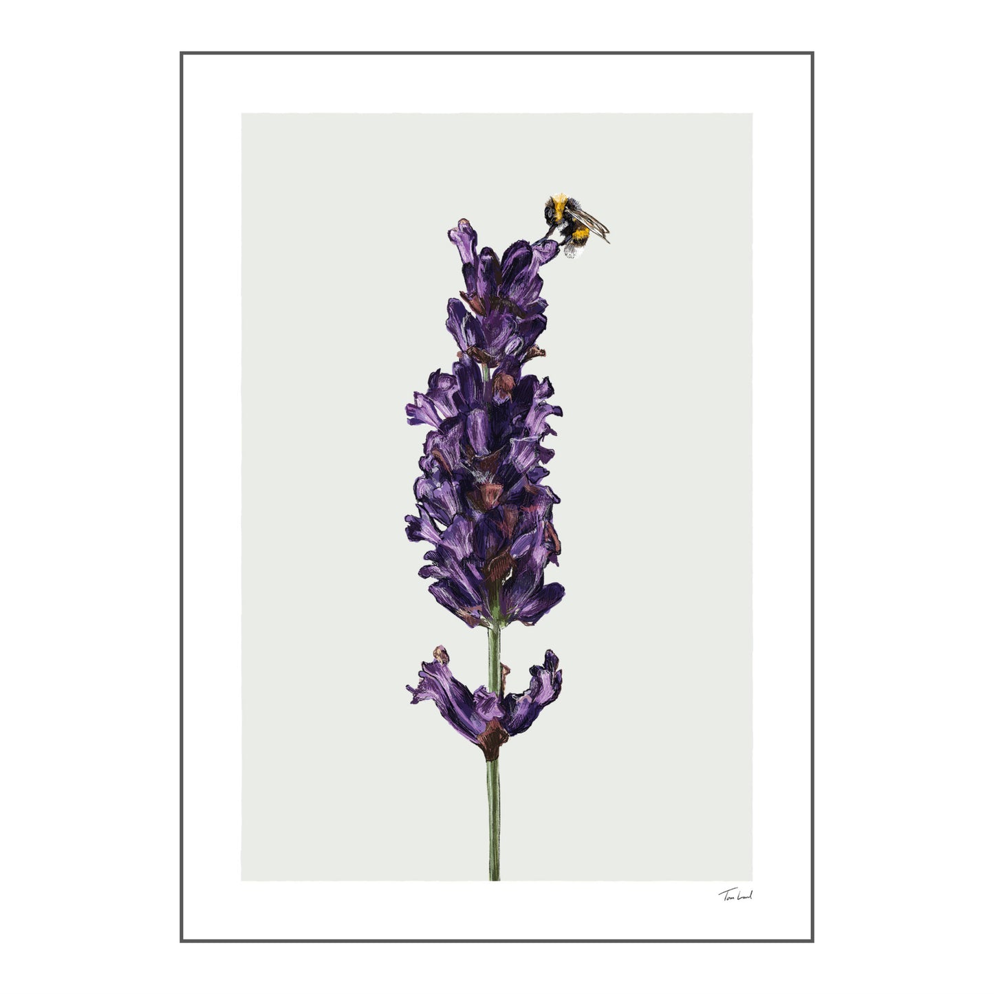 Lavender and Bee