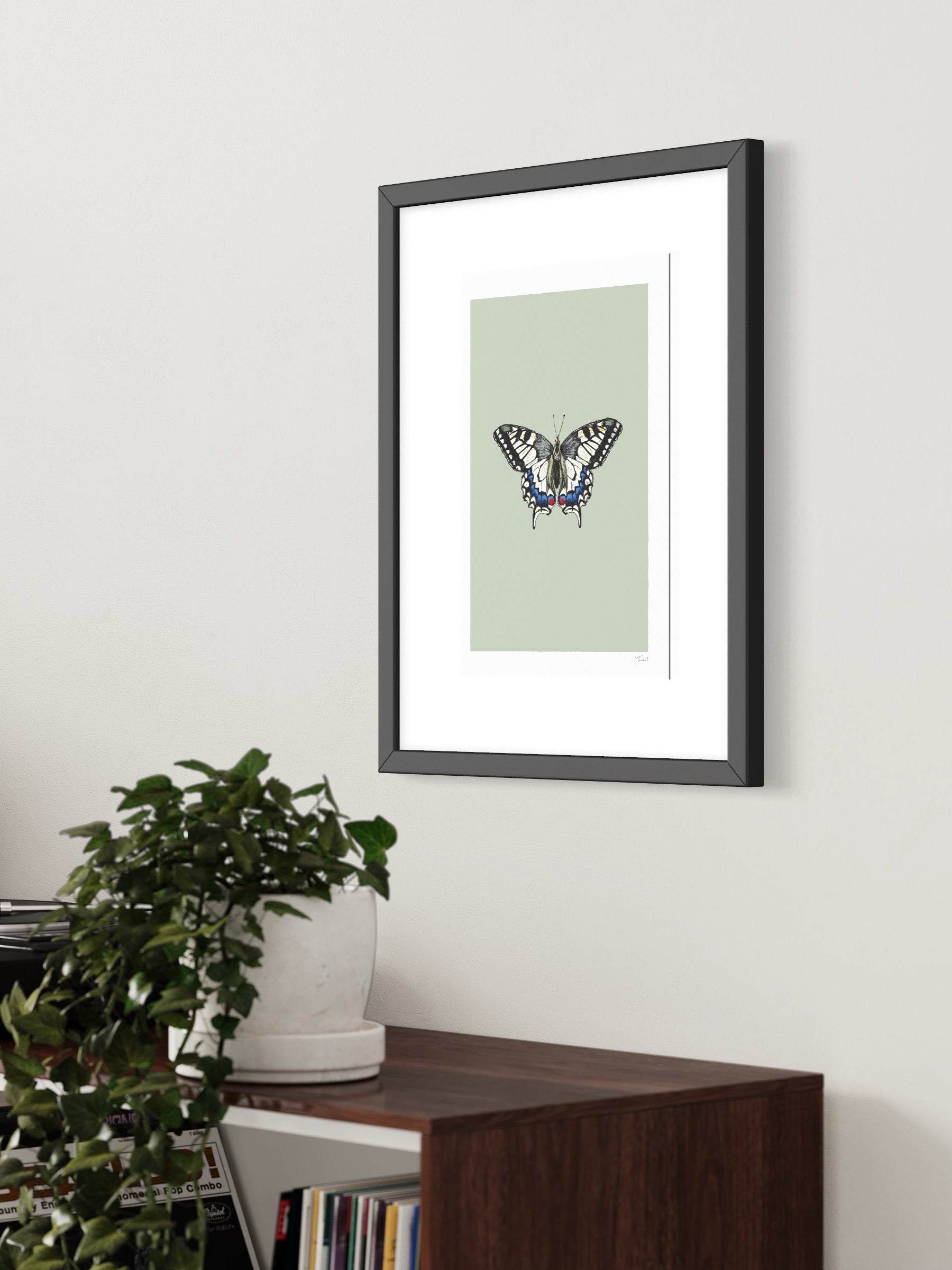This image shows a giclee wall art print by Tom Laird Illustration of an Old World Swallowtail Butterfly, framed in a beautiful living room with tasteful modern home decor. This art print is available from Tom Laird Illustration in various sizes.