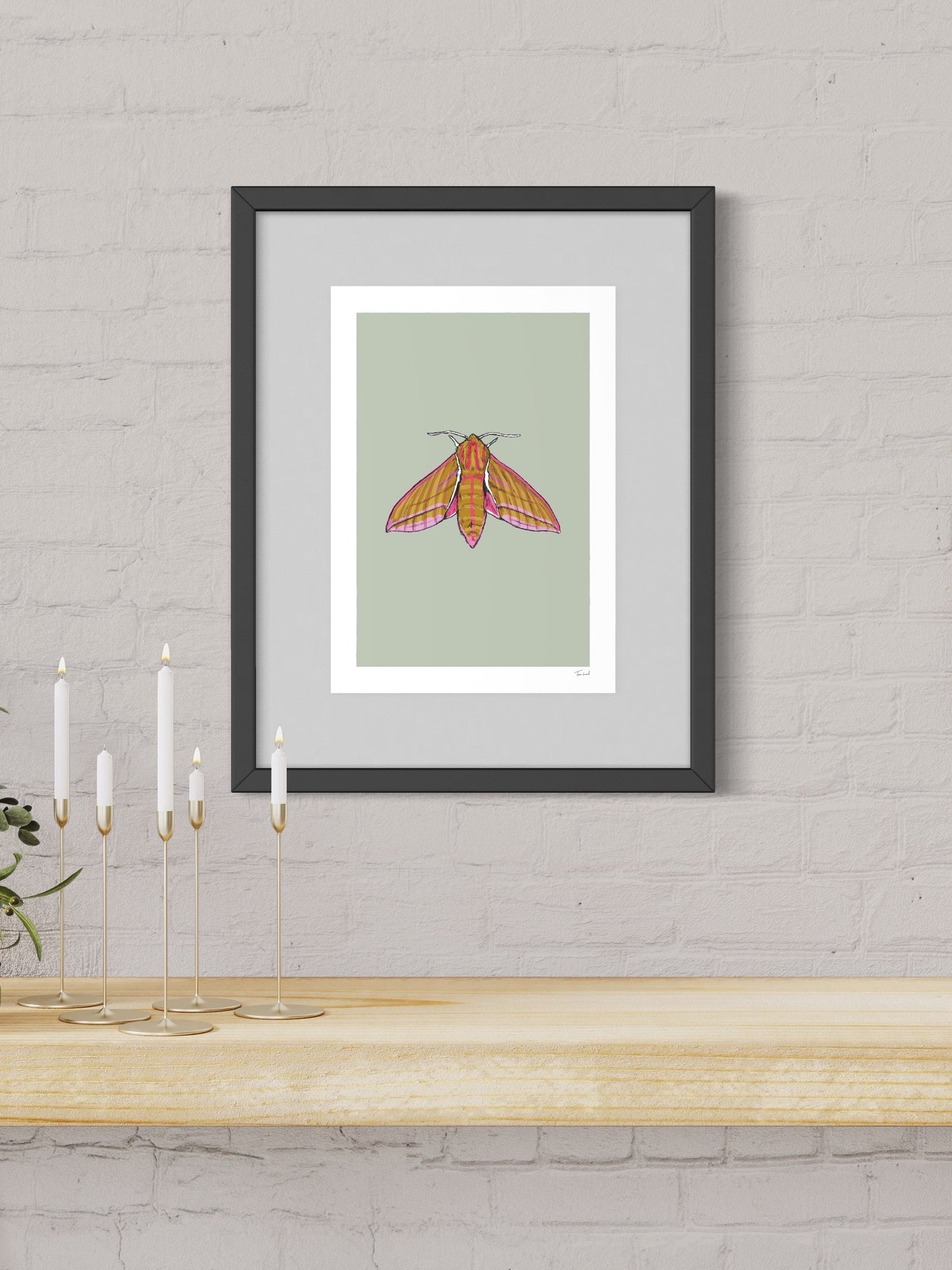 This image shows a giclee wall art print by Tom Laird Illustration of an Elephant Hawk Moth, framed in a beautiful living room with tasteful modern home decor. This art print is available from Tom Laird Illustration in various sizes.