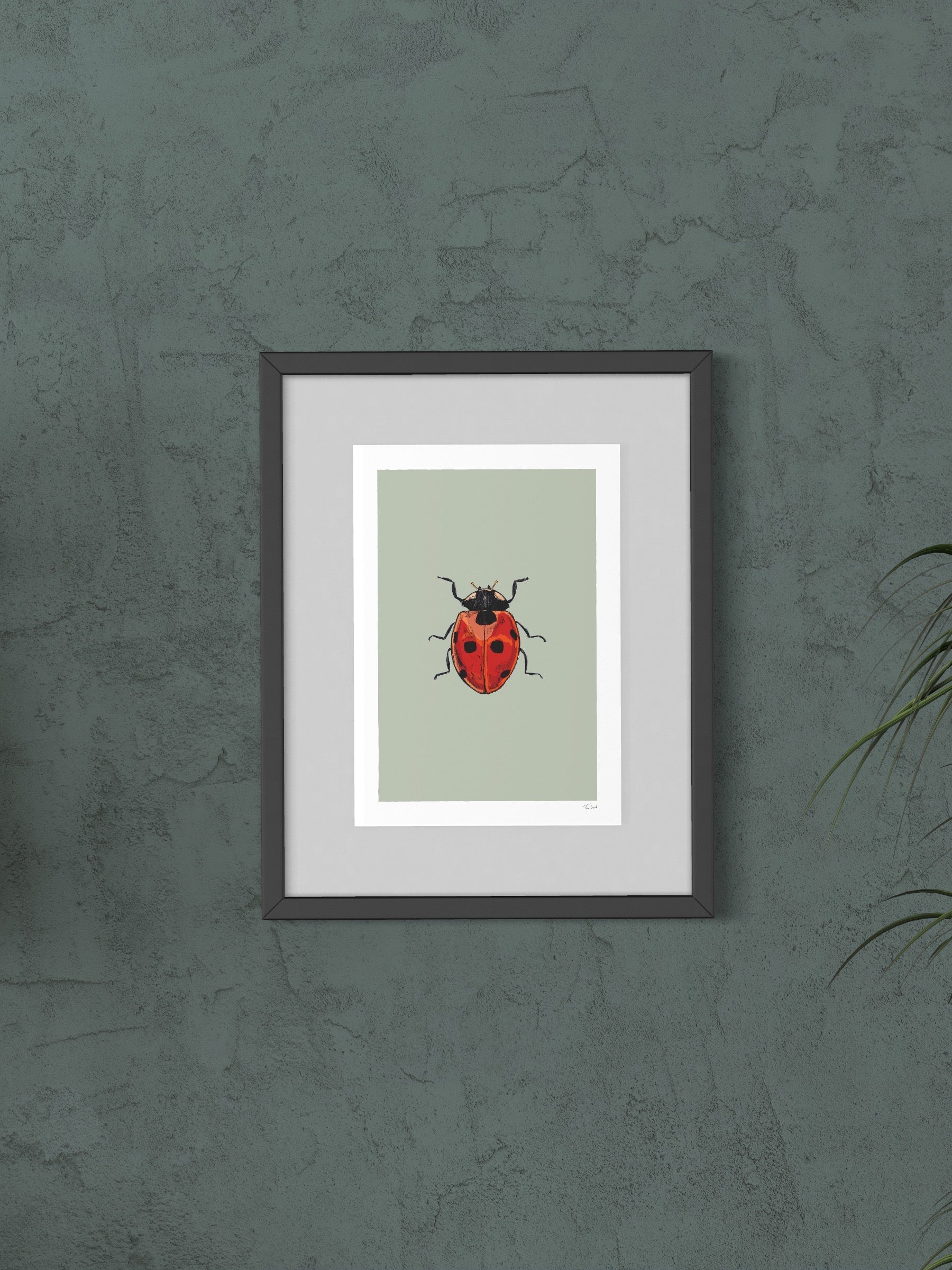 This image shows a giclee wall art print by Tom Laird Illustration of a Ladybird, framed in a beautiful living room with tasteful modern home decor. This art print is available from Tom Laird Illustration in various sizes.