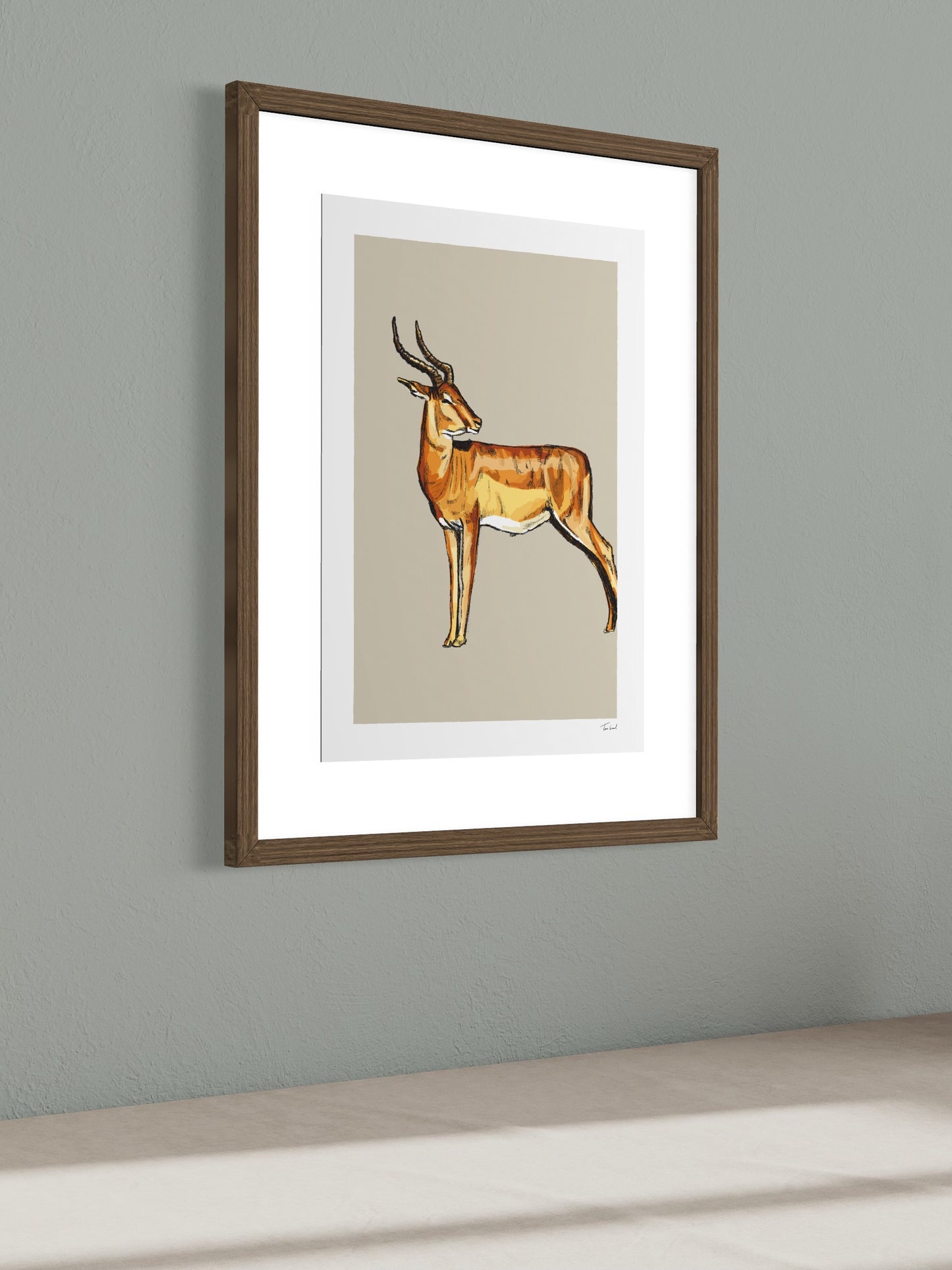 This image shows a giclee wall art print by Tom Laird Illustration of a Springbok, framed in a beautiful living room with tasteful modern home decor. This art print is available from Tom Laird Illustration in various sizes.